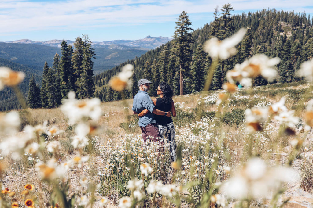 Tahoe Meadow