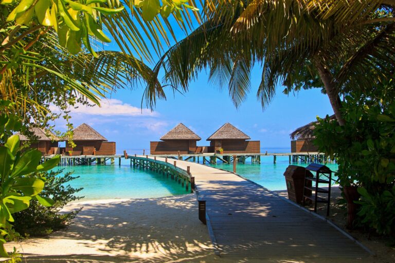 view through pal trees looking down a pier leading to houses on stilts on the water at a tropical beach resort