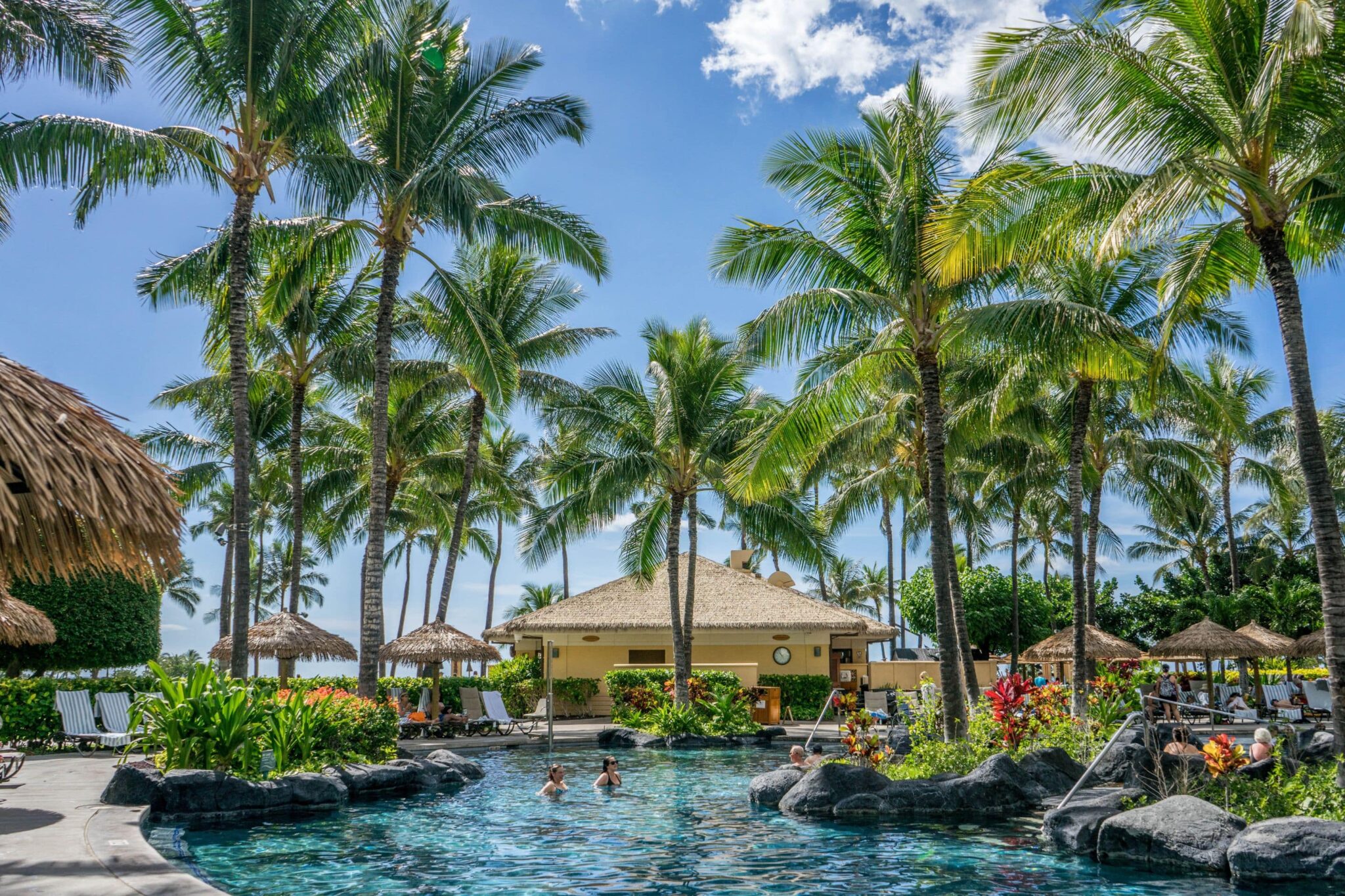 view of a tropical resort pool surrounded by palm trees