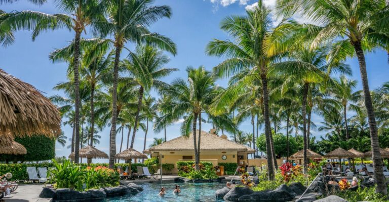 people in an outdoor pool surrounded by palm trees in a Hawaii resort