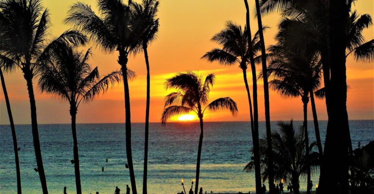 The sun sets behind silhouetted palm trees on a tranquil beach, casting warm hues across the sky and water