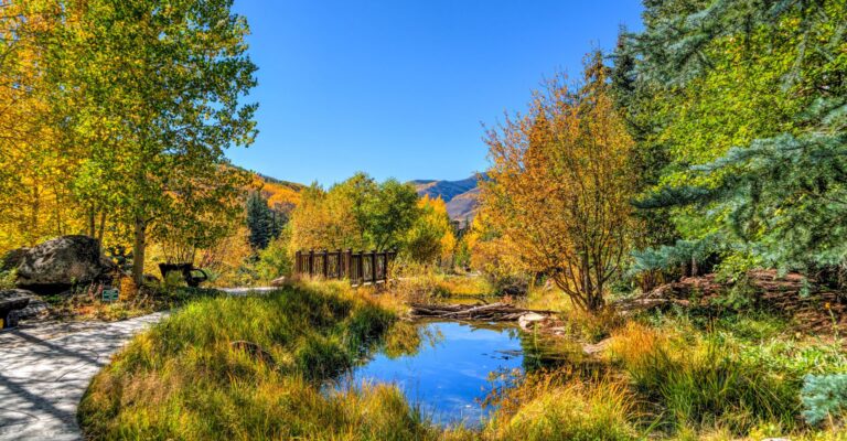 A winding path through a lush forest, bordered by trees and a calm waterway nearby.