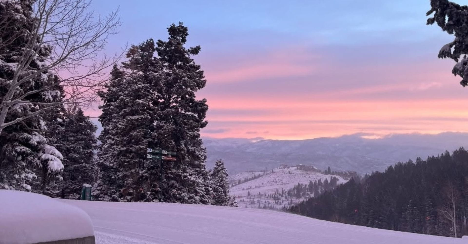 Snowy mountain landscape with evergreen trees silhouetted against a soft pink sky at sunset.