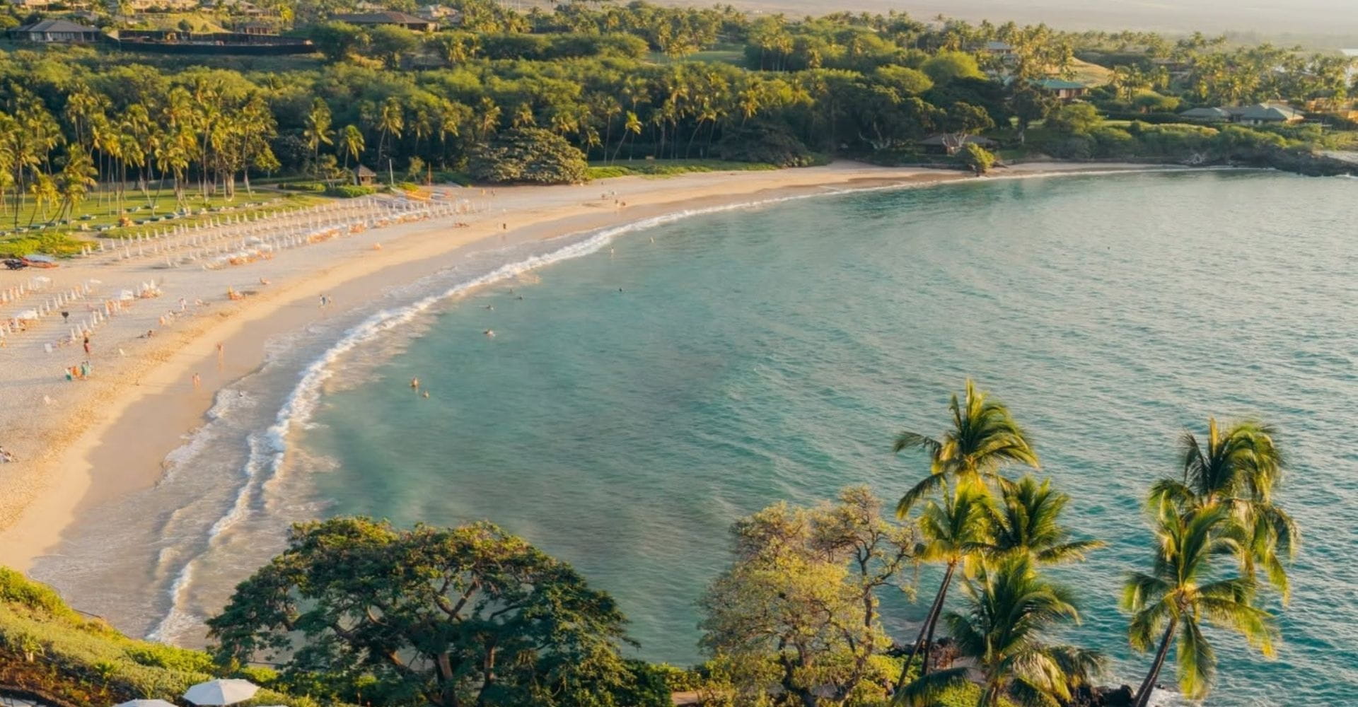 A stunning view of a Hawaiian beach with golden sand, turquoise water, and palm trees swaying in the breeze.