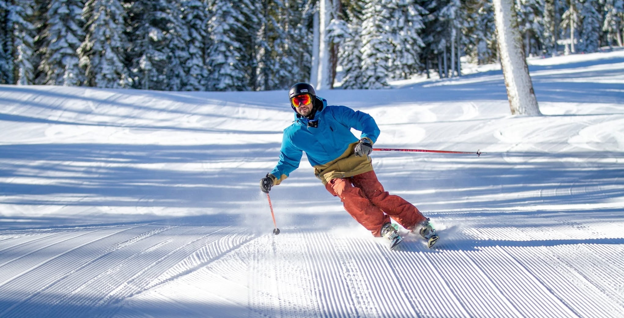 A man skillfully skiing down a snowy slope, surrounded by tall pine trees and a clear blue sky.