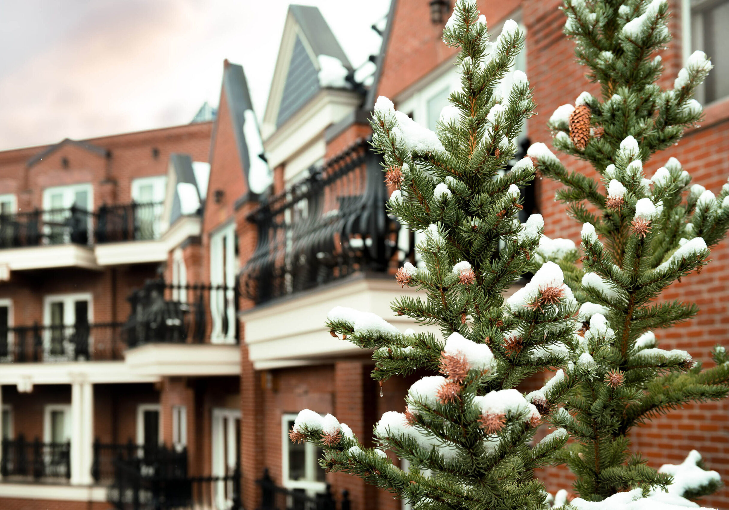 Aspen Mountain Residences