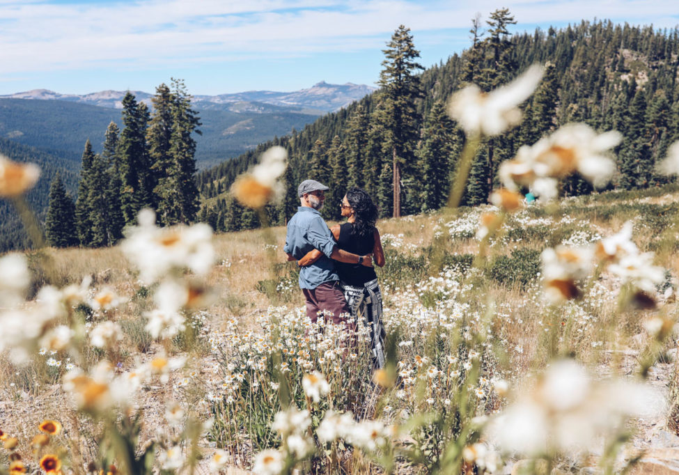 Tahoe Meadow