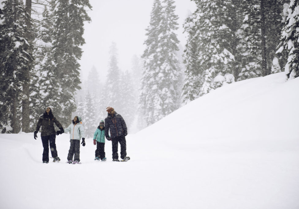 Tahoe Snowshoe