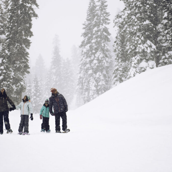 Tahoe Snowshoe