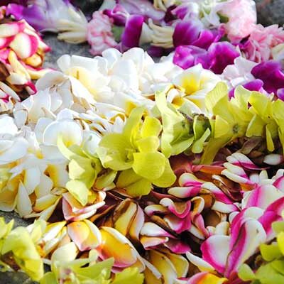 Lei Festival